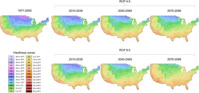 Editorial: Abiotic stress and plant immunity – a challenge in climate change